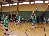 Volleyball Feb2017 (1)