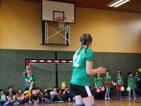 Volleyball Feb2017 (14)