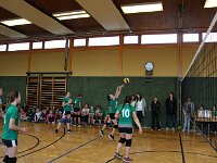 Volleyball Feb2017 (2)