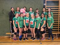 Volleyball Feb2017 (29)