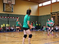 Volleyball Feb2017 (5)