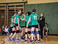 Volleyball Feb2017 (6)